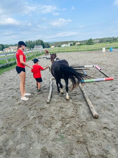 saint-isidore-de-clifton-camp-de-jour-mini-ferme-cheval
