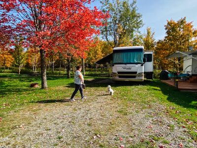 saint-isidore-de-clifton-camping-vert-campeuse-avec-chien