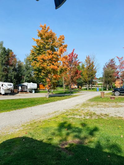 saint-isidore-de-clifton-camping-vert-vue-densemble-